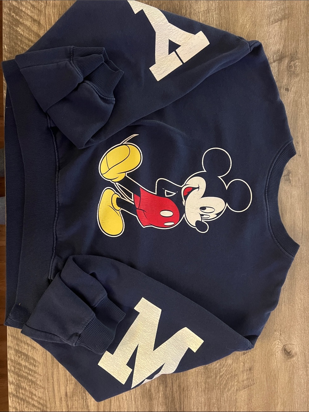 Navy Mickey Mouse Graphic Sweatshirt